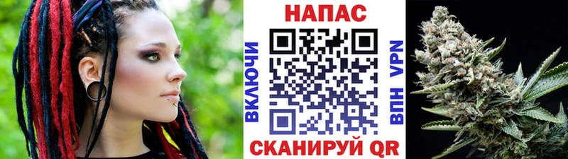 Канабис индика  blacksprut как войти  Сосновый Бор  как найти наркотики 